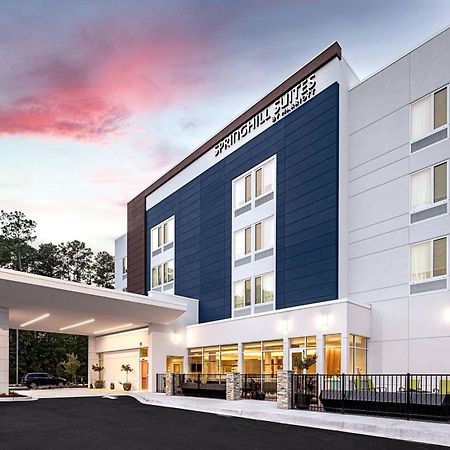 Springhill Suites By Marriott Savannah Ричмонд-Гілл Екстер'єр фото